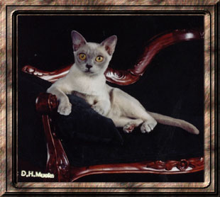 GC Penobscot's Double Down of Jomarkat